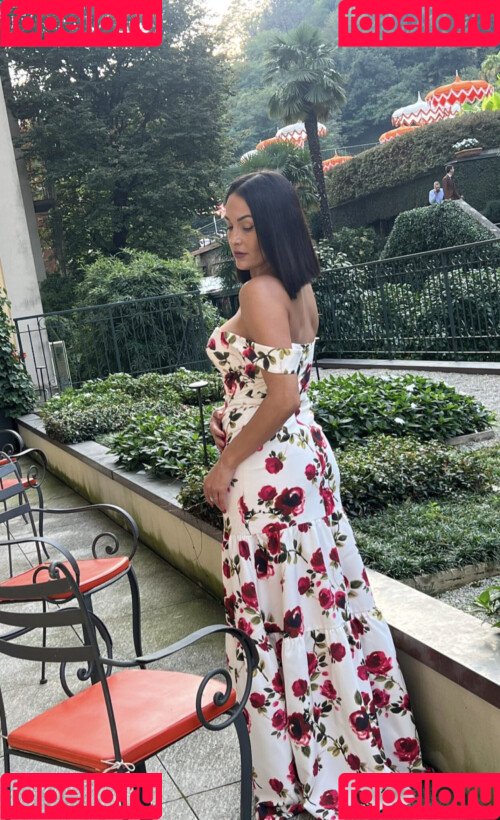 The Bella Twins: Onlyfans Photo Gallery 