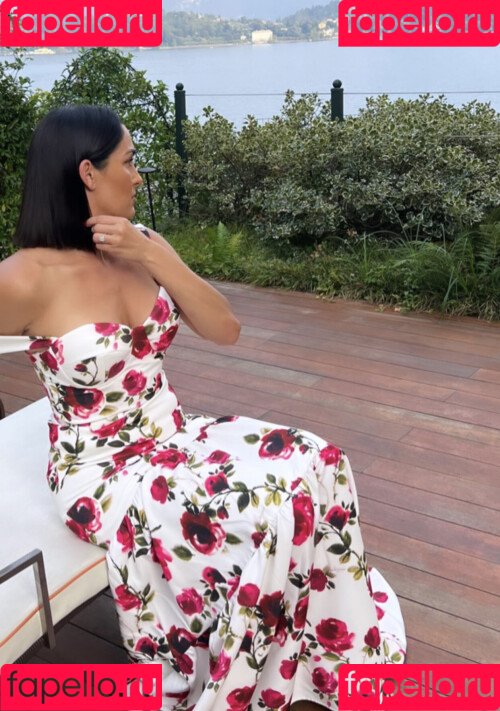 The Bella Twins: Onlyfans Photo Gallery 