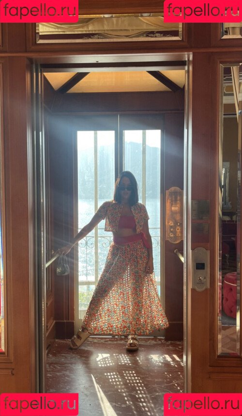 The Bella Twins: Onlyfans Photo Gallery 