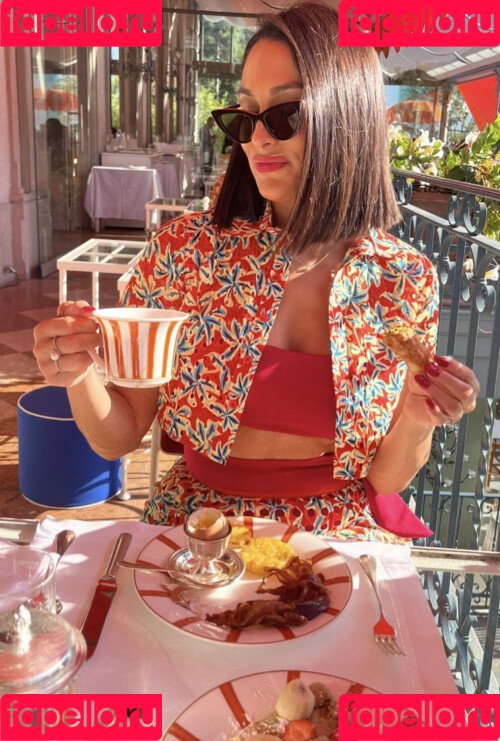 The Bella Twins: Onlyfans Photo Gallery 