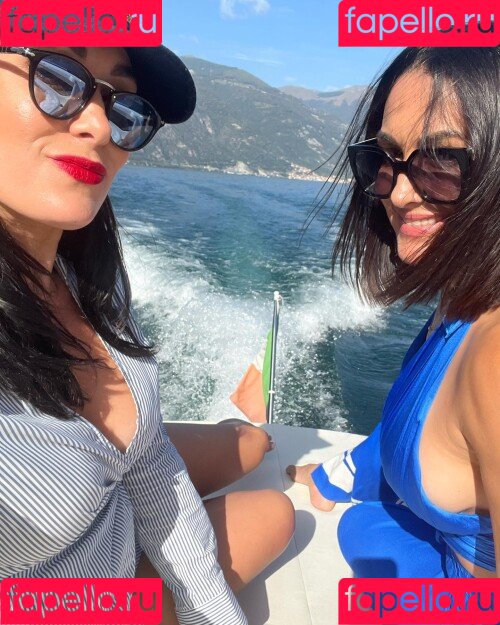 The Bella Twins: Onlyfans Photo Gallery 