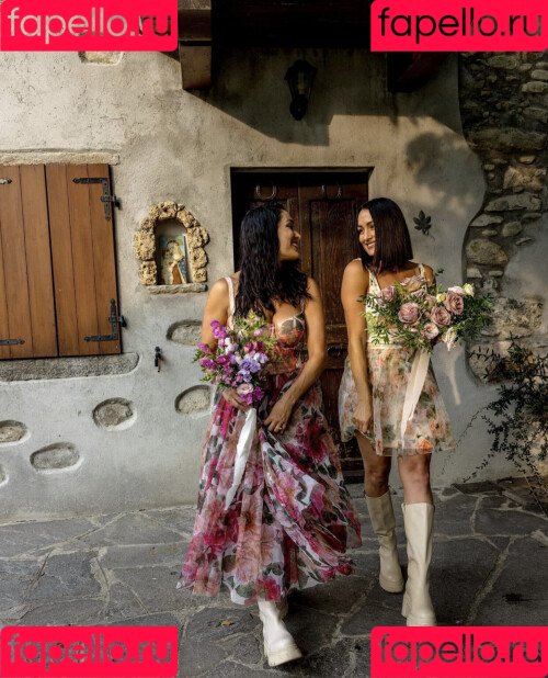 The Bella Twins: Onlyfans Photo Gallery 