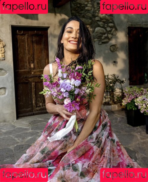 The Bella Twins: Onlyfans Photo Gallery 