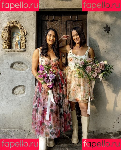 The Bella Twins: Onlyfans Photo Gallery 