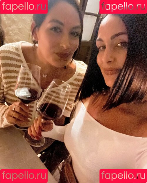 The Bella Twins: Onlyfans Photo Gallery 