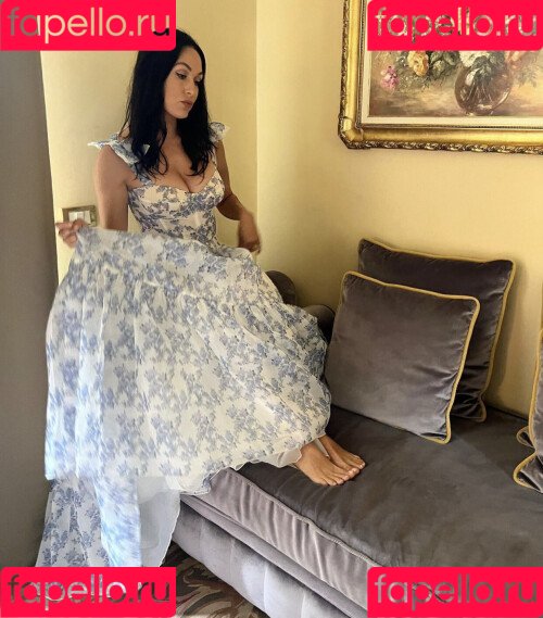 The Bella Twins: Onlyfans Photo Gallery 