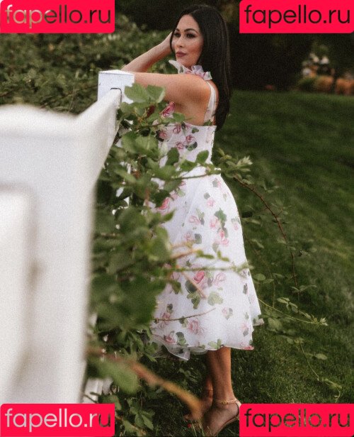 The Bella Twins: Onlyfans Photo Gallery 