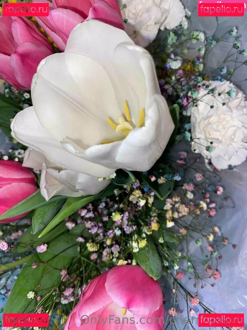 cherrykush6 Onlyfans Photo Gallery 