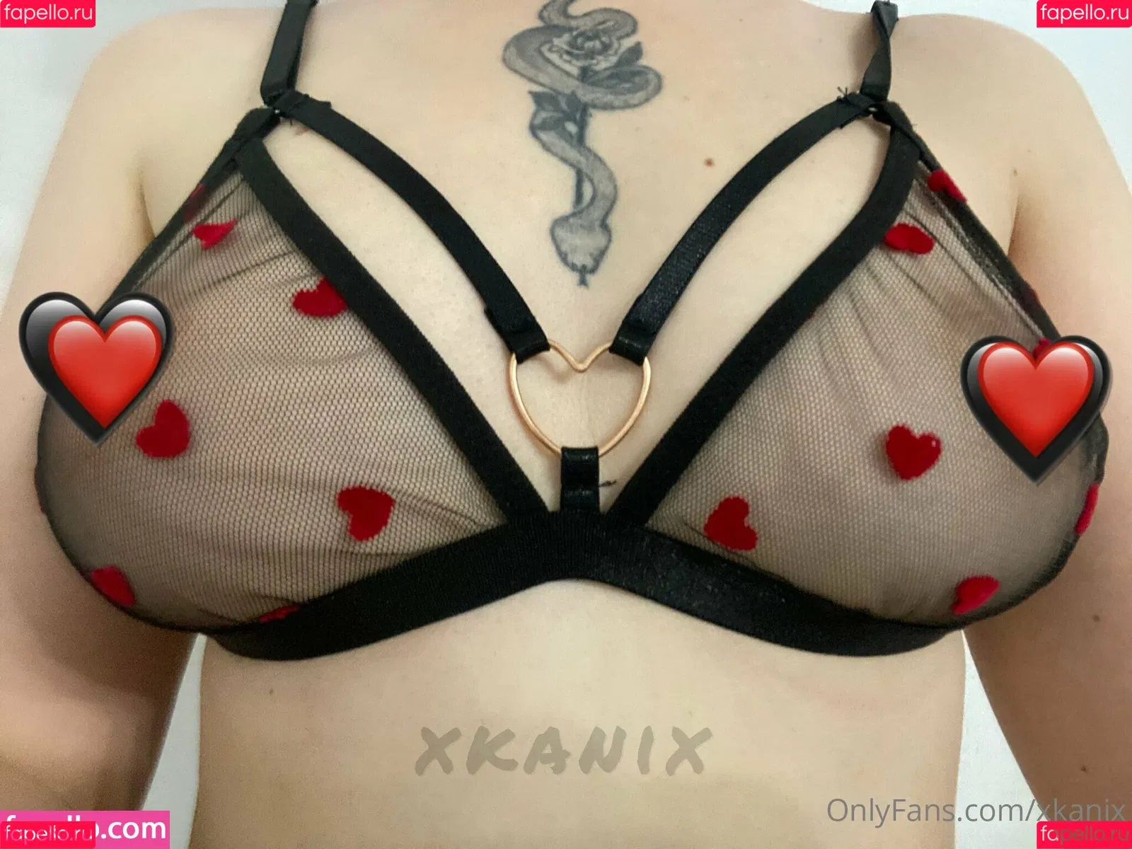 xkanix Onlyfans Photo Gallery 