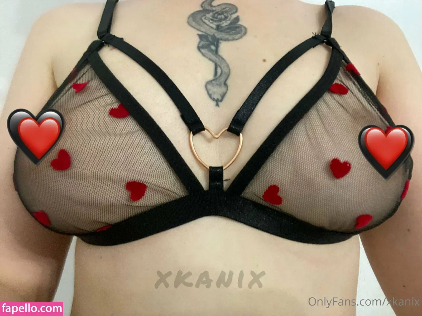 xkanix Onlyfans Photo Gallery 