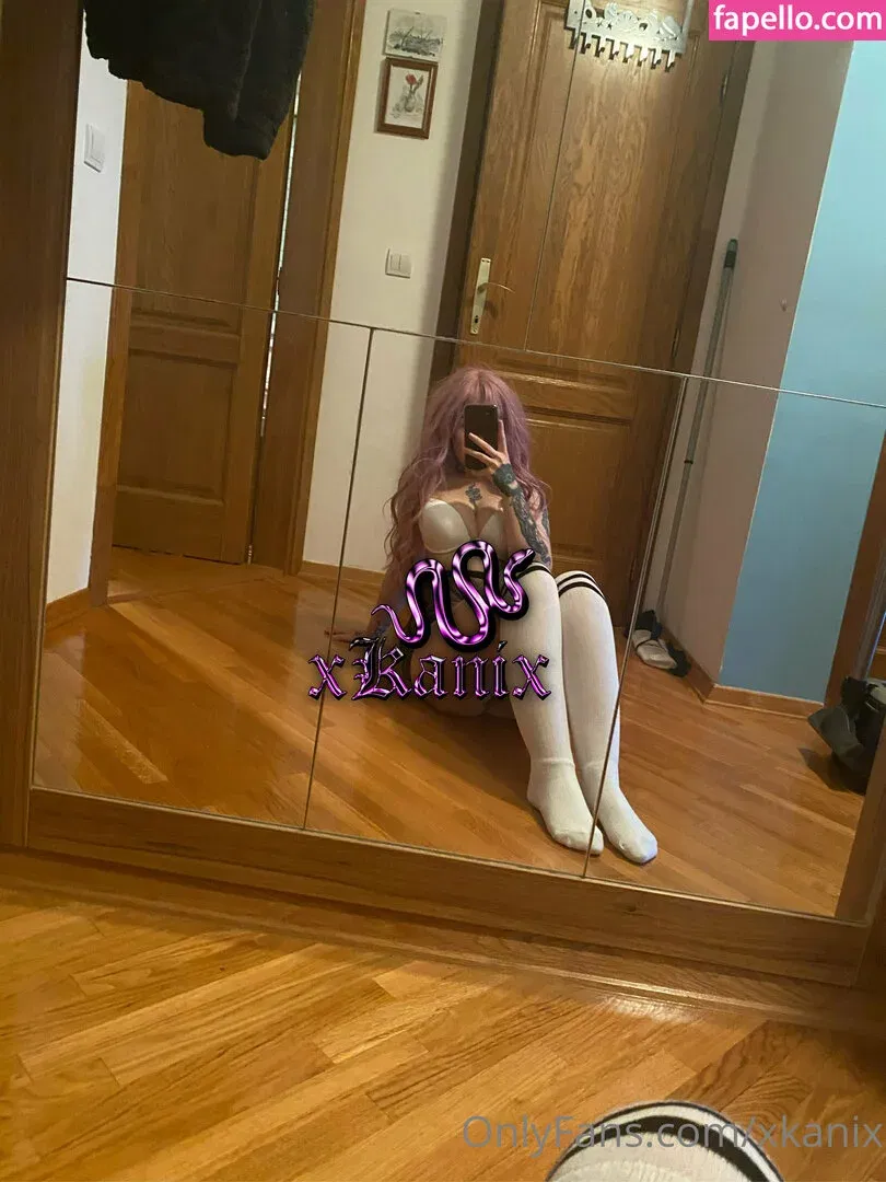 xkanix Onlyfans Photo Gallery 