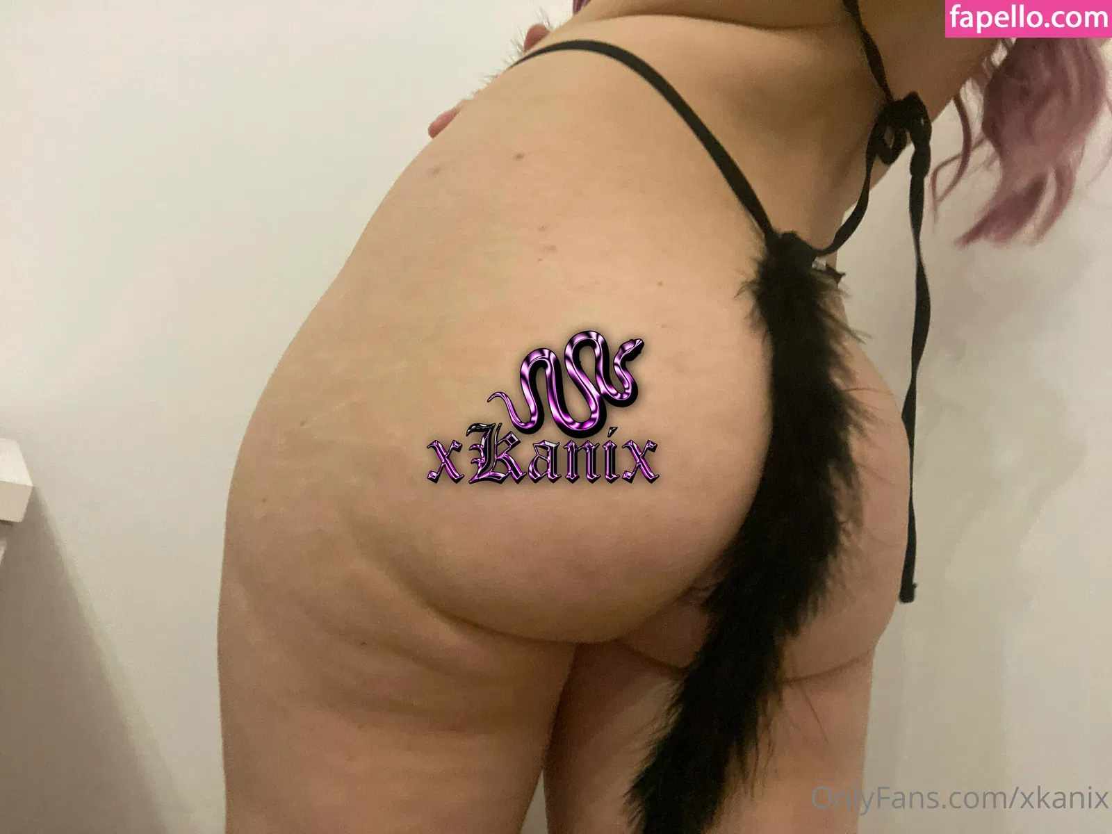 xkanix Onlyfans Photo Gallery 