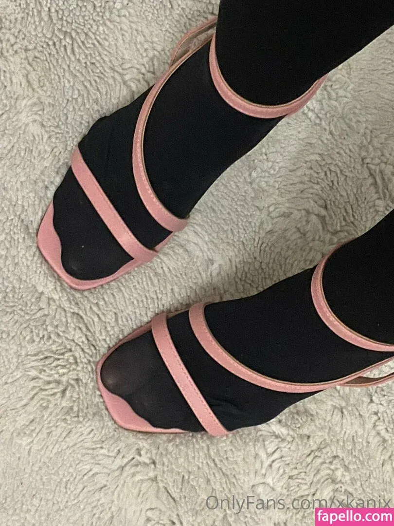 xkanix Onlyfans Photo Gallery 