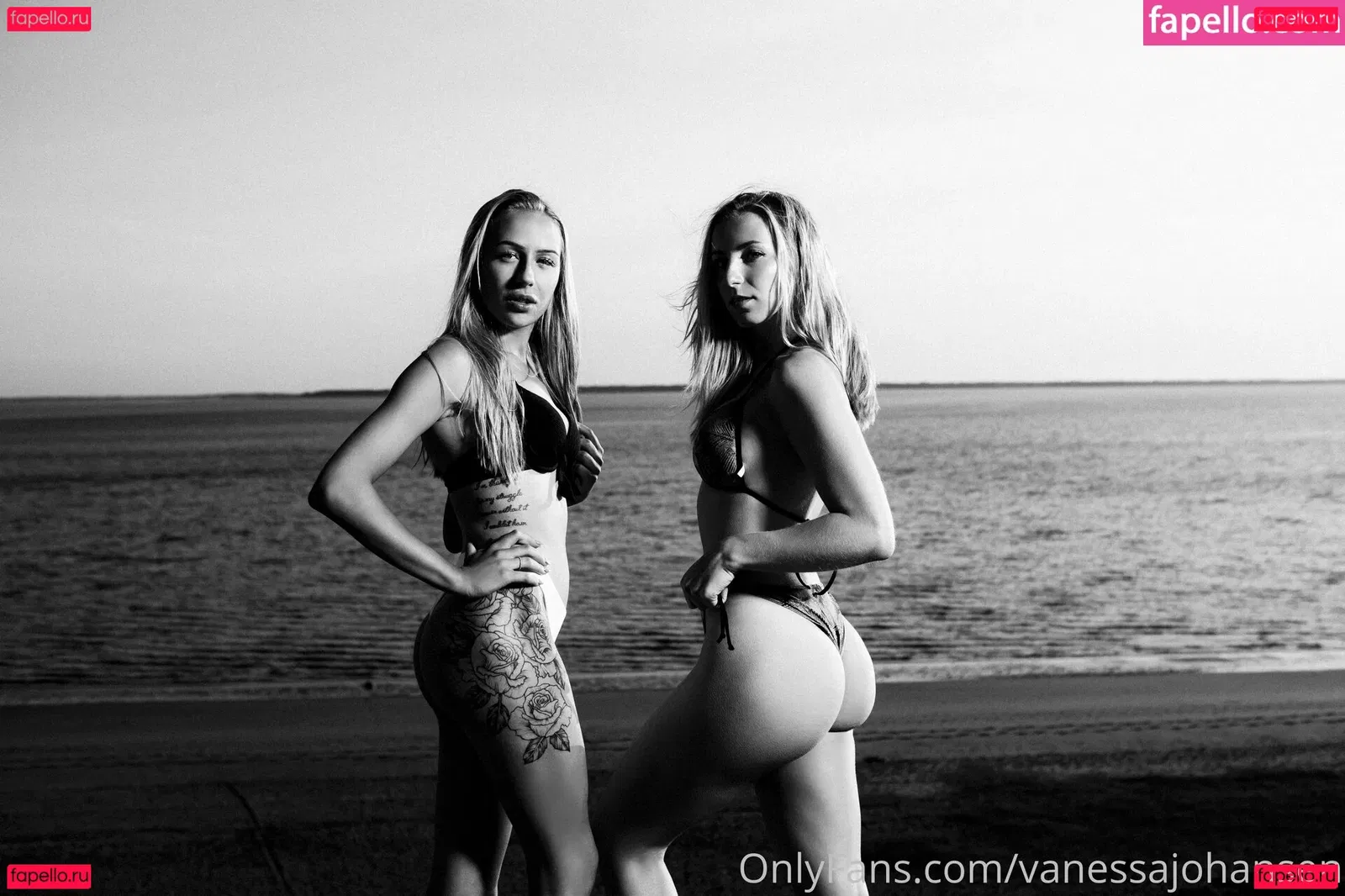 Vanessa Johansen Onlyfans Photo Gallery 