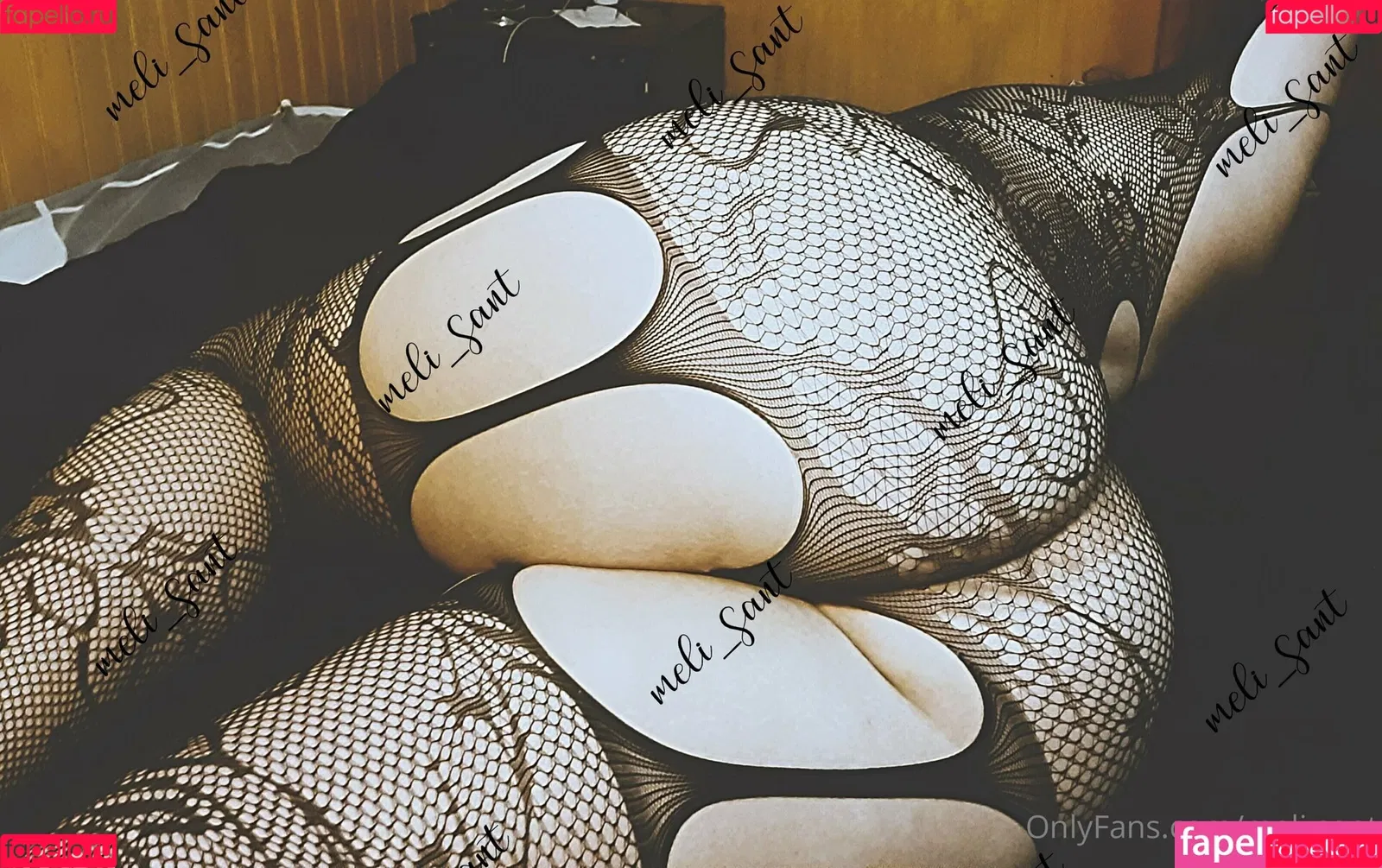 meli.sant Onlyfans Photo Gallery 