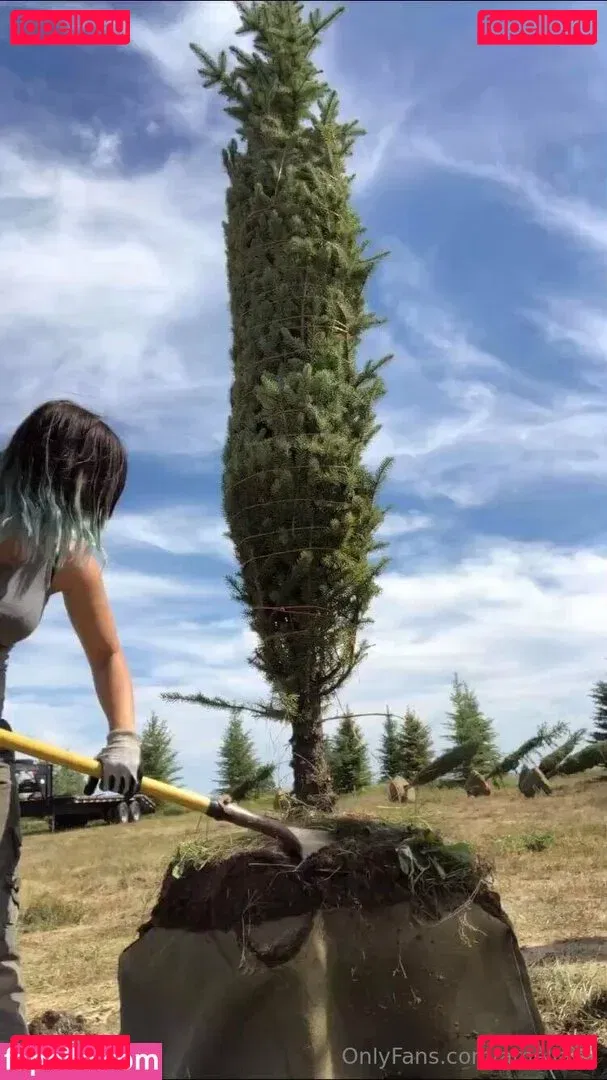 ameliaxy Onlyfans Photo Gallery 