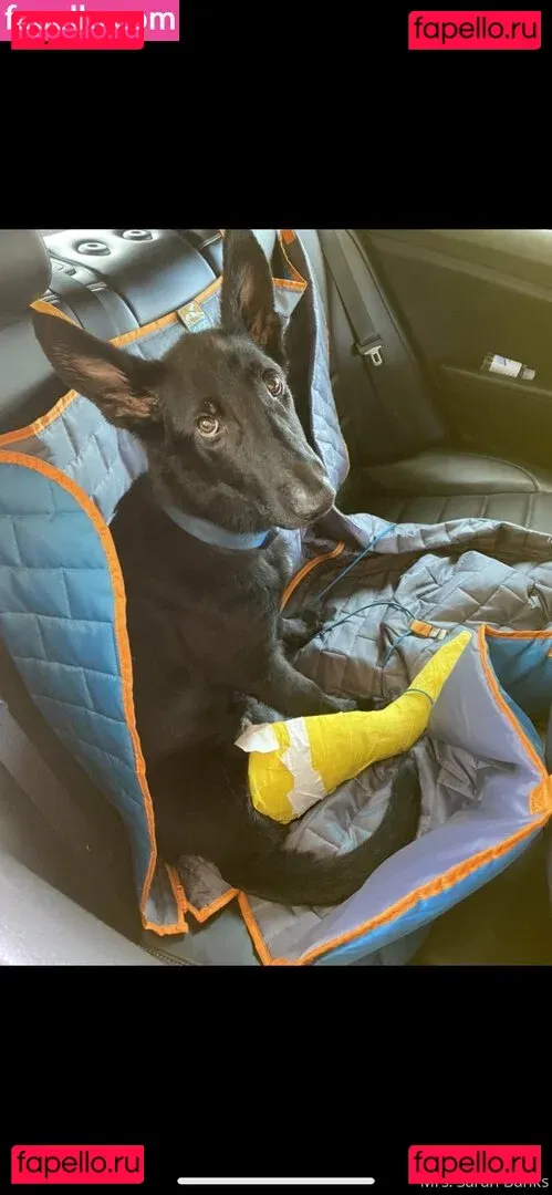 thesarahbnkx Onlyfans Photo Gallery 