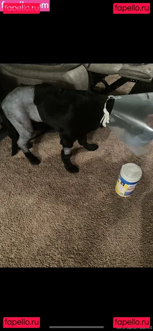 thesarahbnkx Onlyfans Photo Gallery 