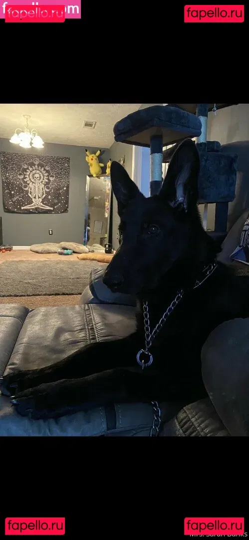 thesarahbnkx Onlyfans Photo Gallery 