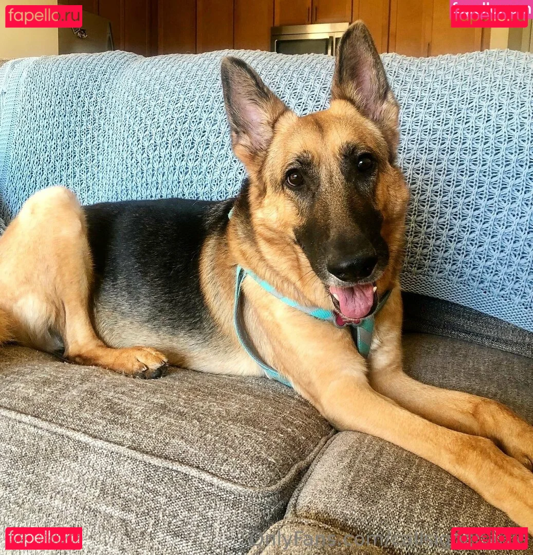 callsigncharlie Onlyfans Photo Gallery 