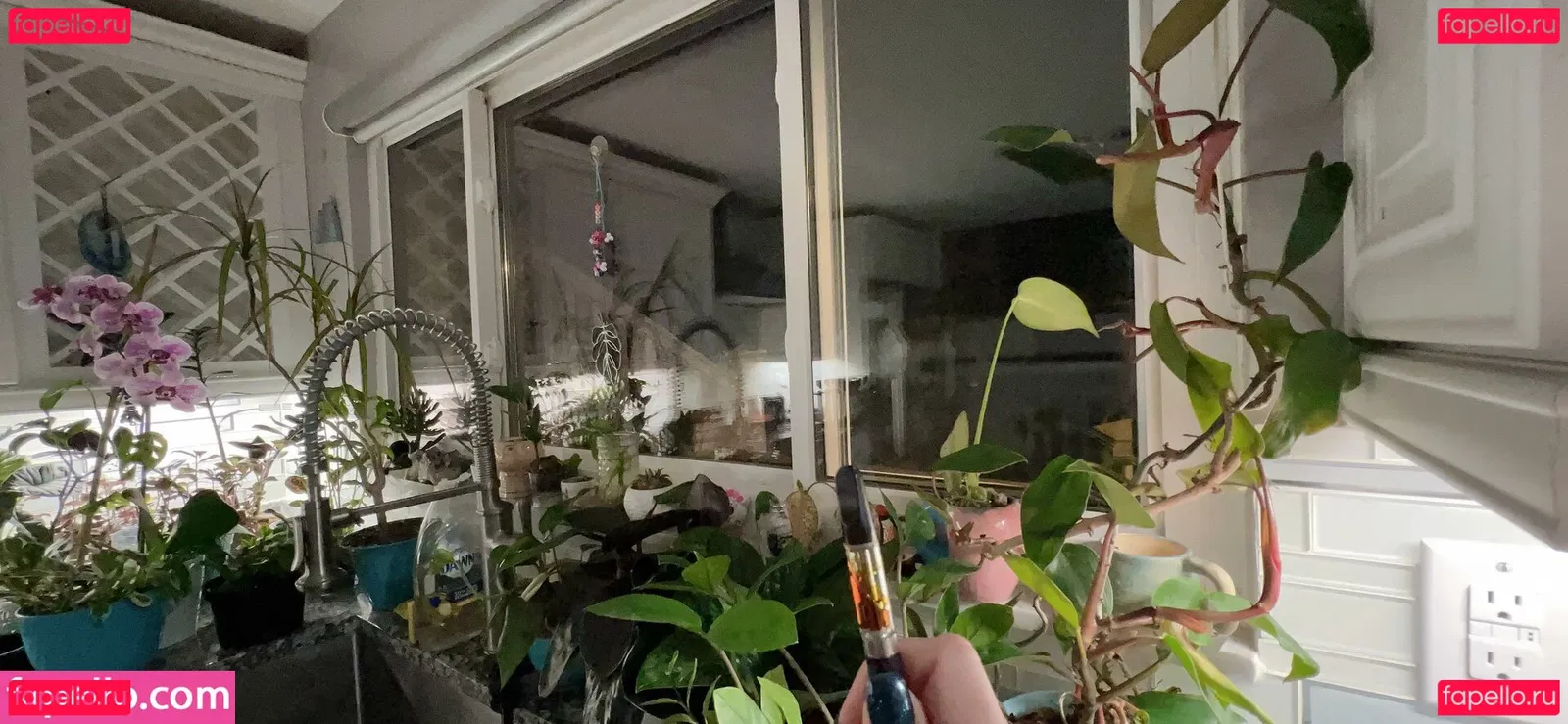 Harlihero Onlyfans Photo Gallery 