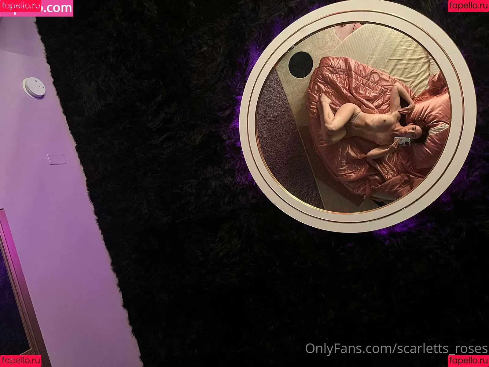 haleysvision Onlyfans Photo Gallery 