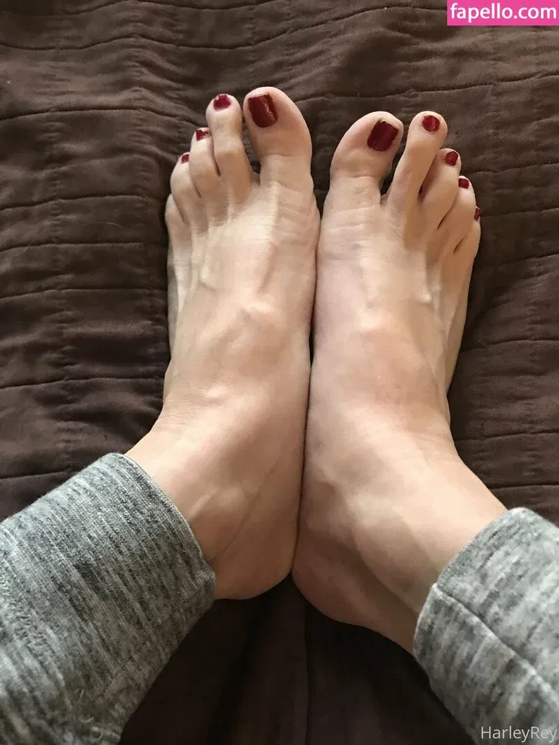 Harlihero Onlyfans Photo Gallery 