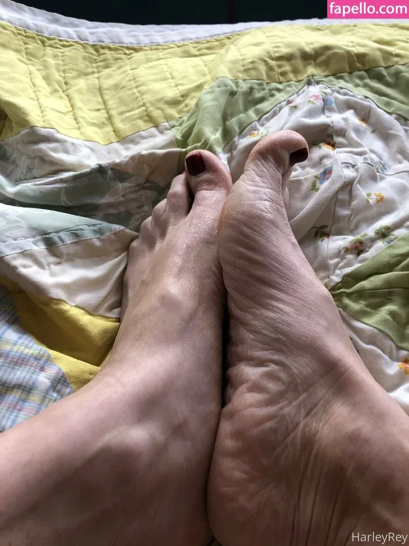 Harlihero Onlyfans Photo Gallery 