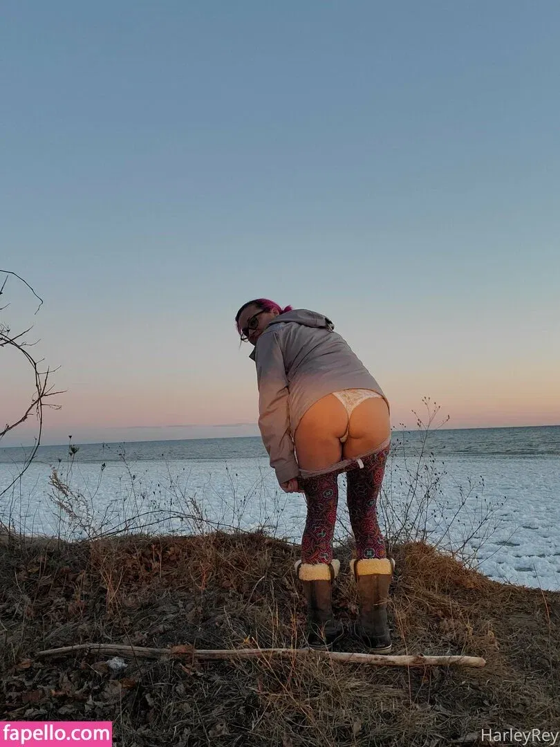 Harlihero Onlyfans Photo Gallery 