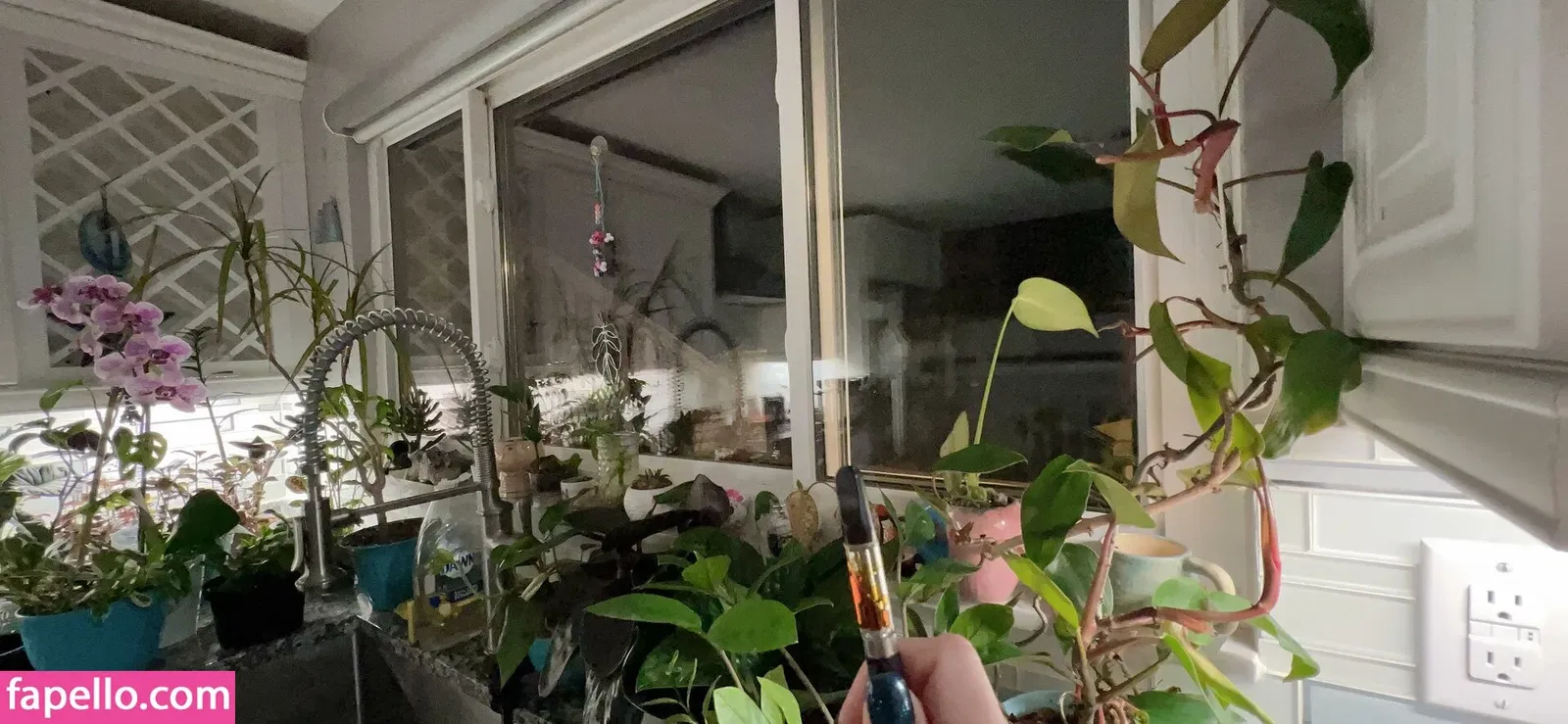 Harlihero Onlyfans Photo Gallery 