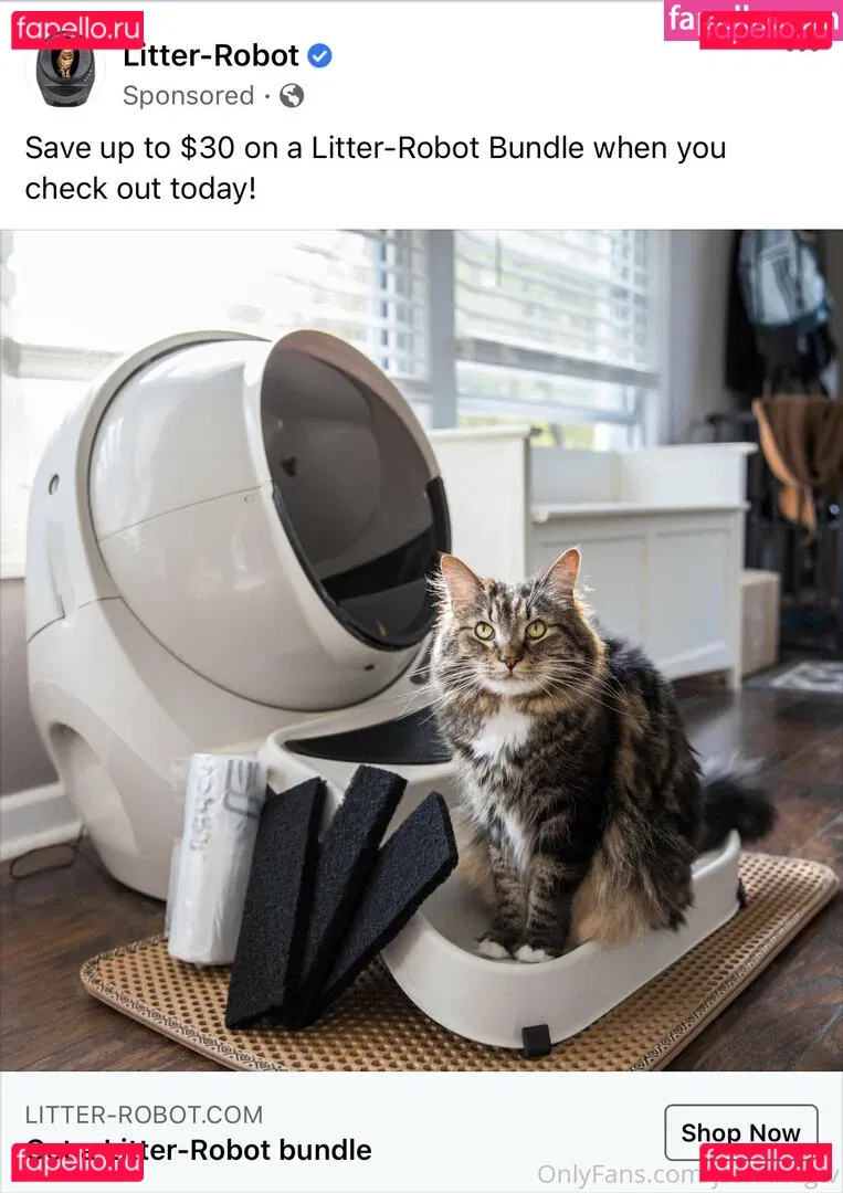 jasminegtv Onlyfans Photo Gallery 