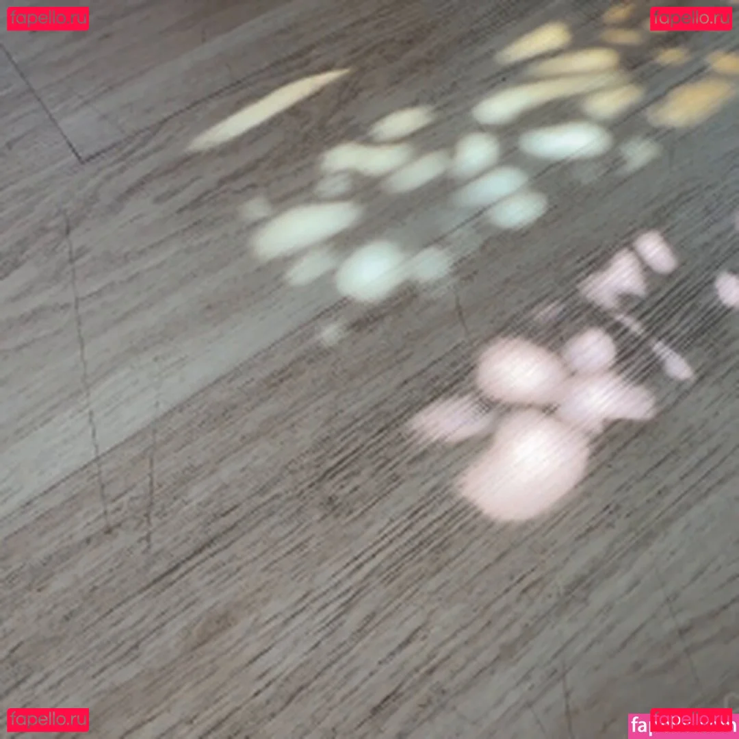 Kimmy Kimm Onlyfans Photo Gallery 