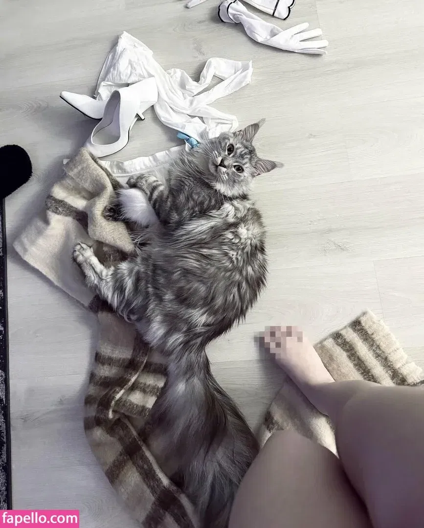 epicinternetgf Onlyfans Photo Gallery 