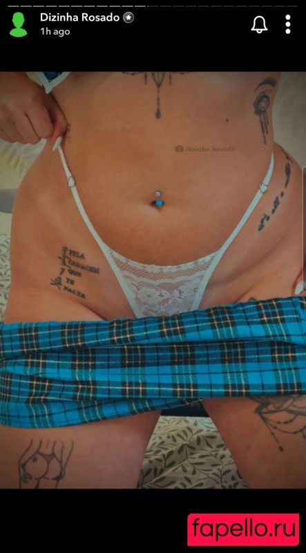 dizinharosado Nude Onlyfans Photo 22