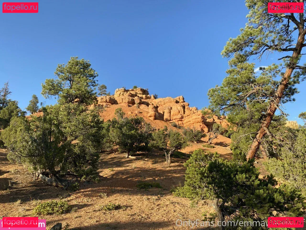 emmawerewuff Onlyfans Photo Gallery 