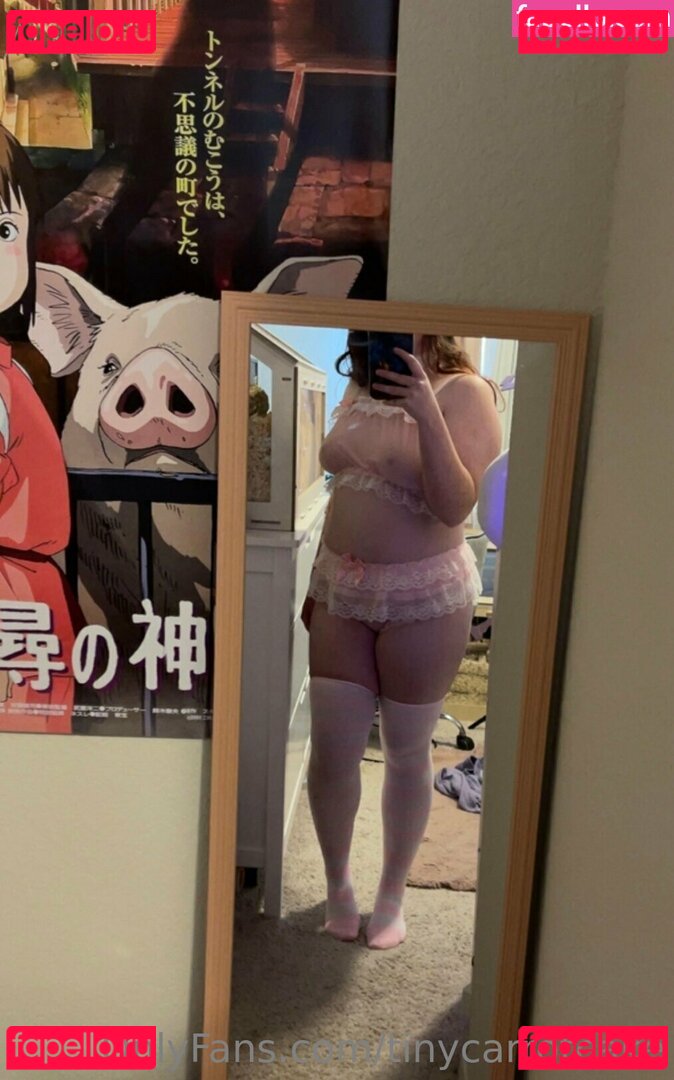 tinycarrotcake / tinyfierytiger Nude Onlyfans Photo 17