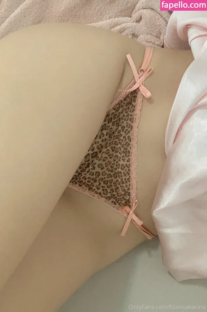 Bianca Karina Onlyfans Photo Gallery 