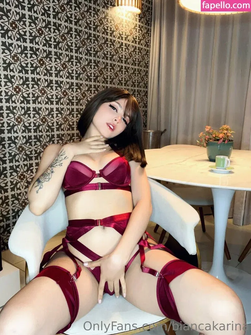 Bianca Karina Onlyfans Photo Gallery 