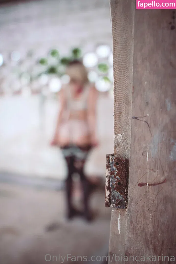 Bianca Karina Onlyfans Photo Gallery 