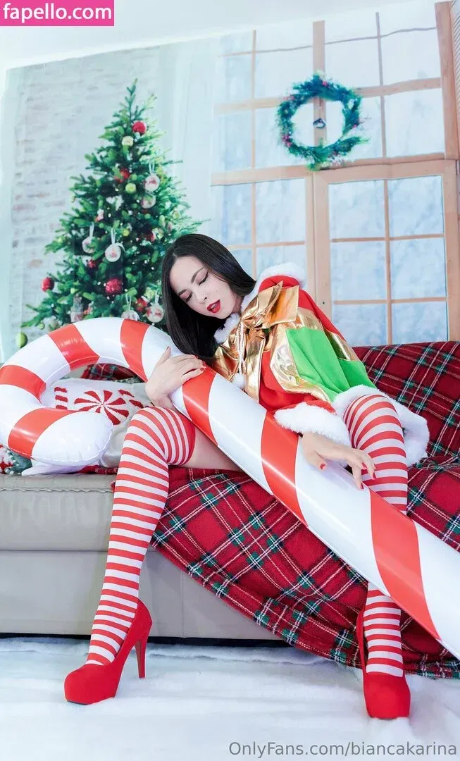 Bianca Karina Onlyfans Photo Gallery 