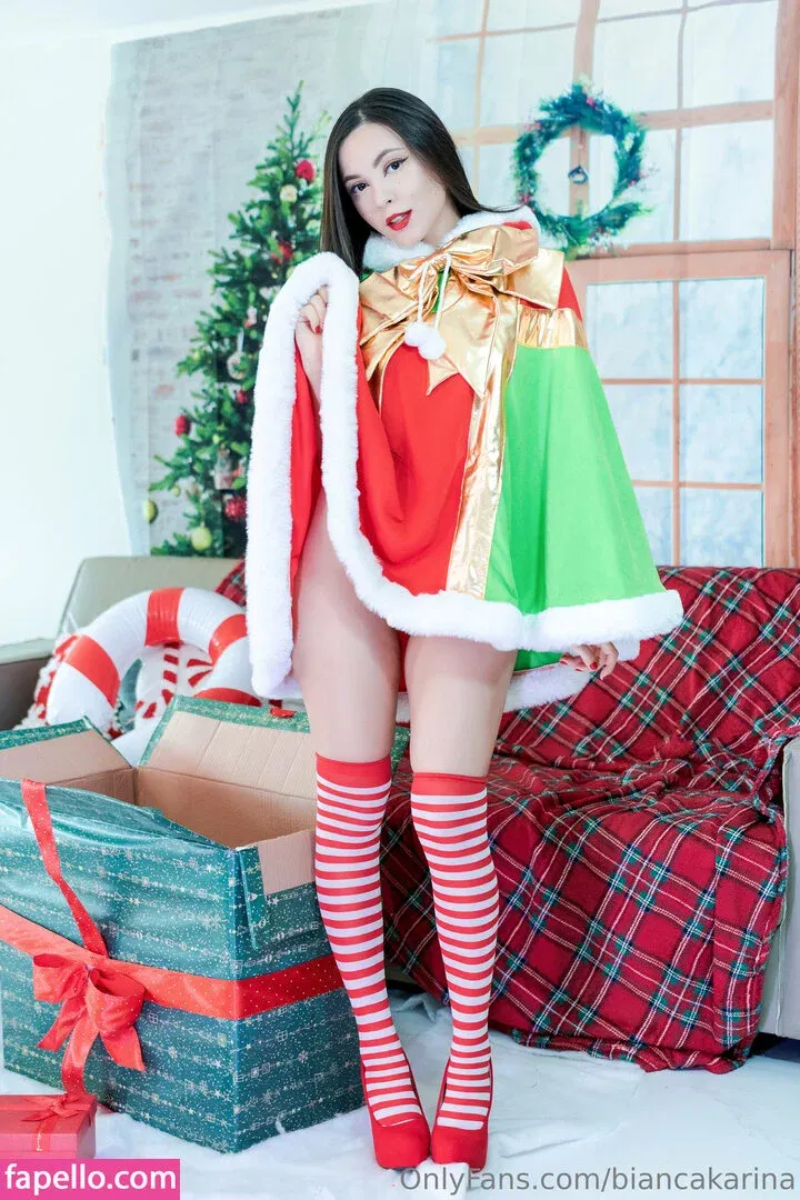 Bianca Karina Onlyfans Photo Gallery 