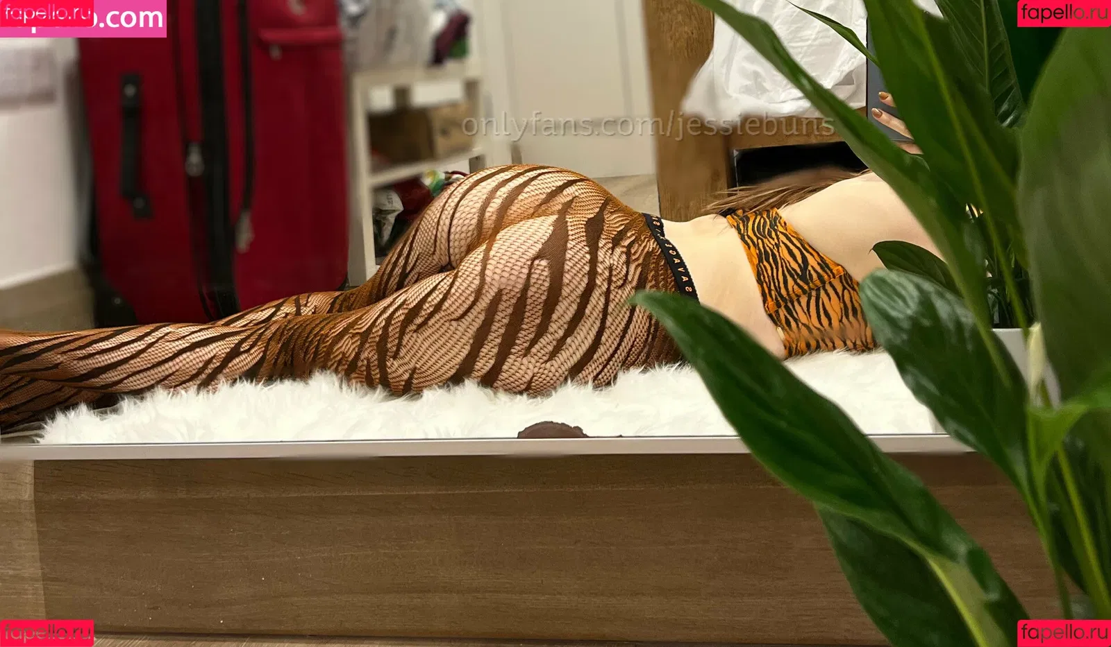 jizzoverjess Onlyfans Photo Gallery 