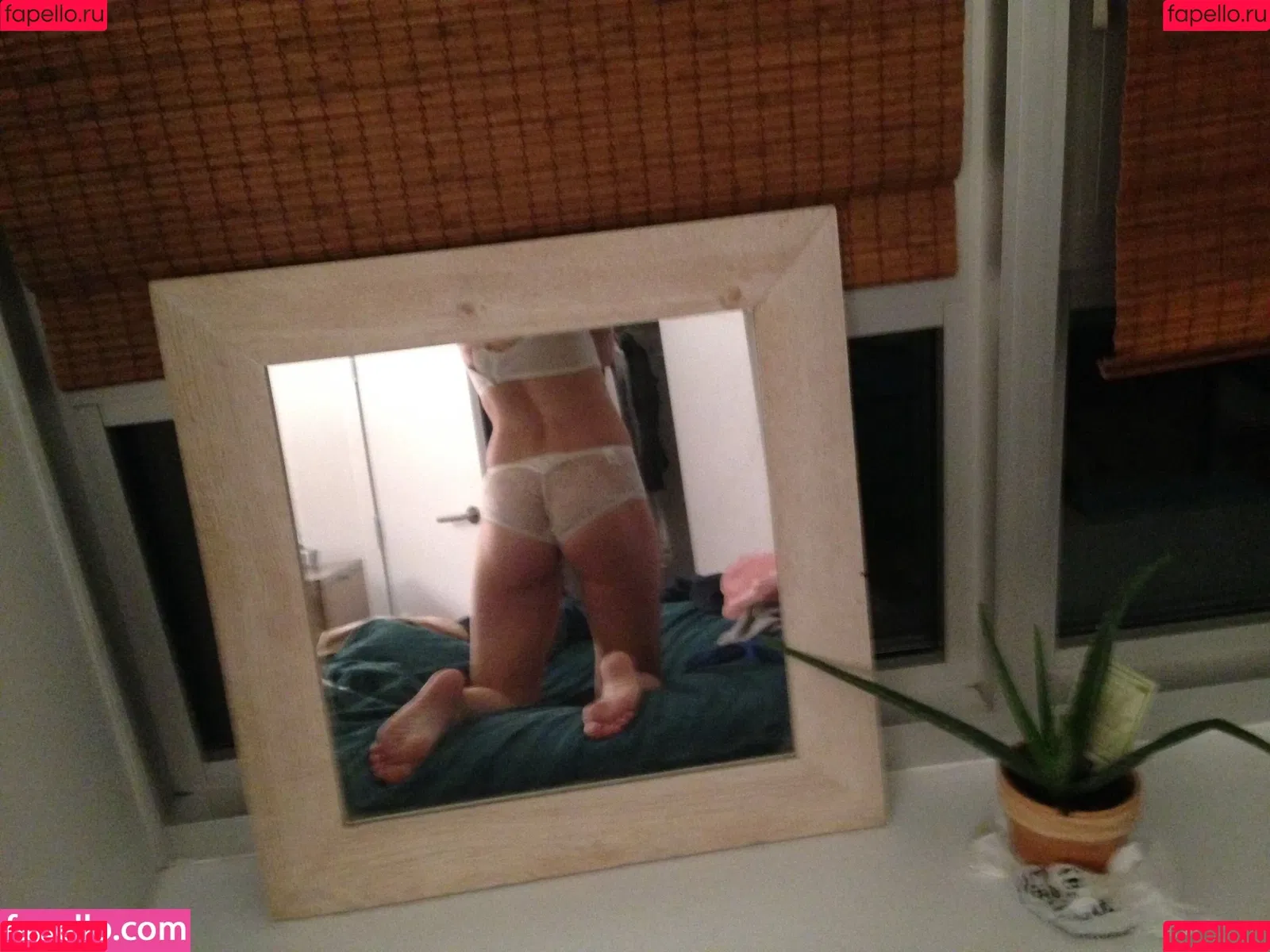 Trieste Kelly Dunn Onlyfans Photo Gallery 