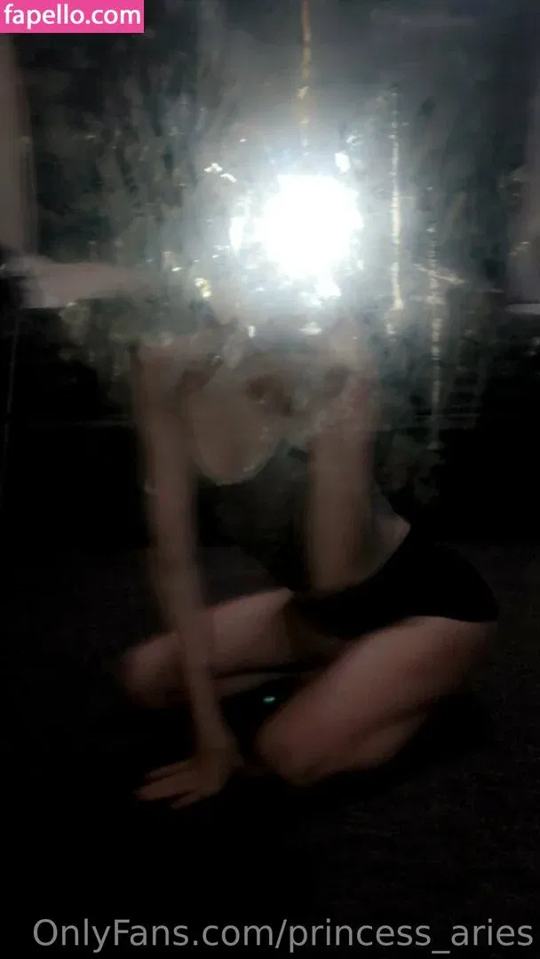 princess_aries Onlyfans Photo Gallery 