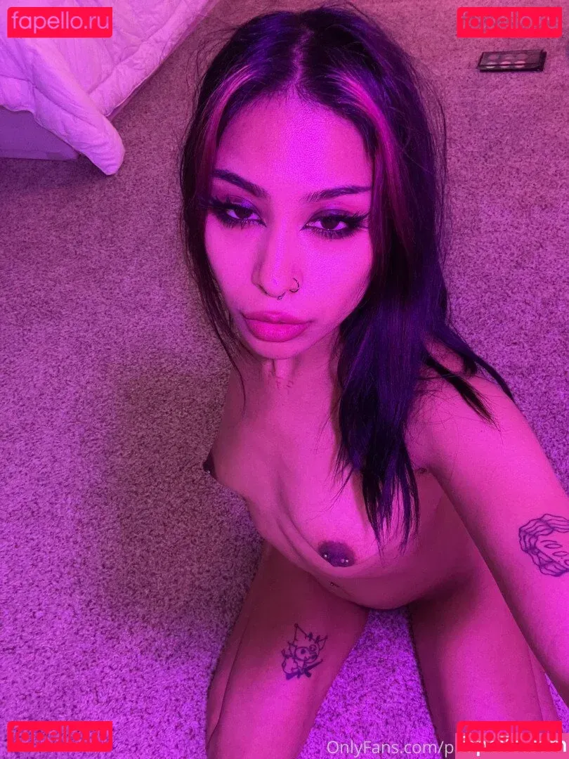 paintjunkbunny Onlyfans Photo Gallery 