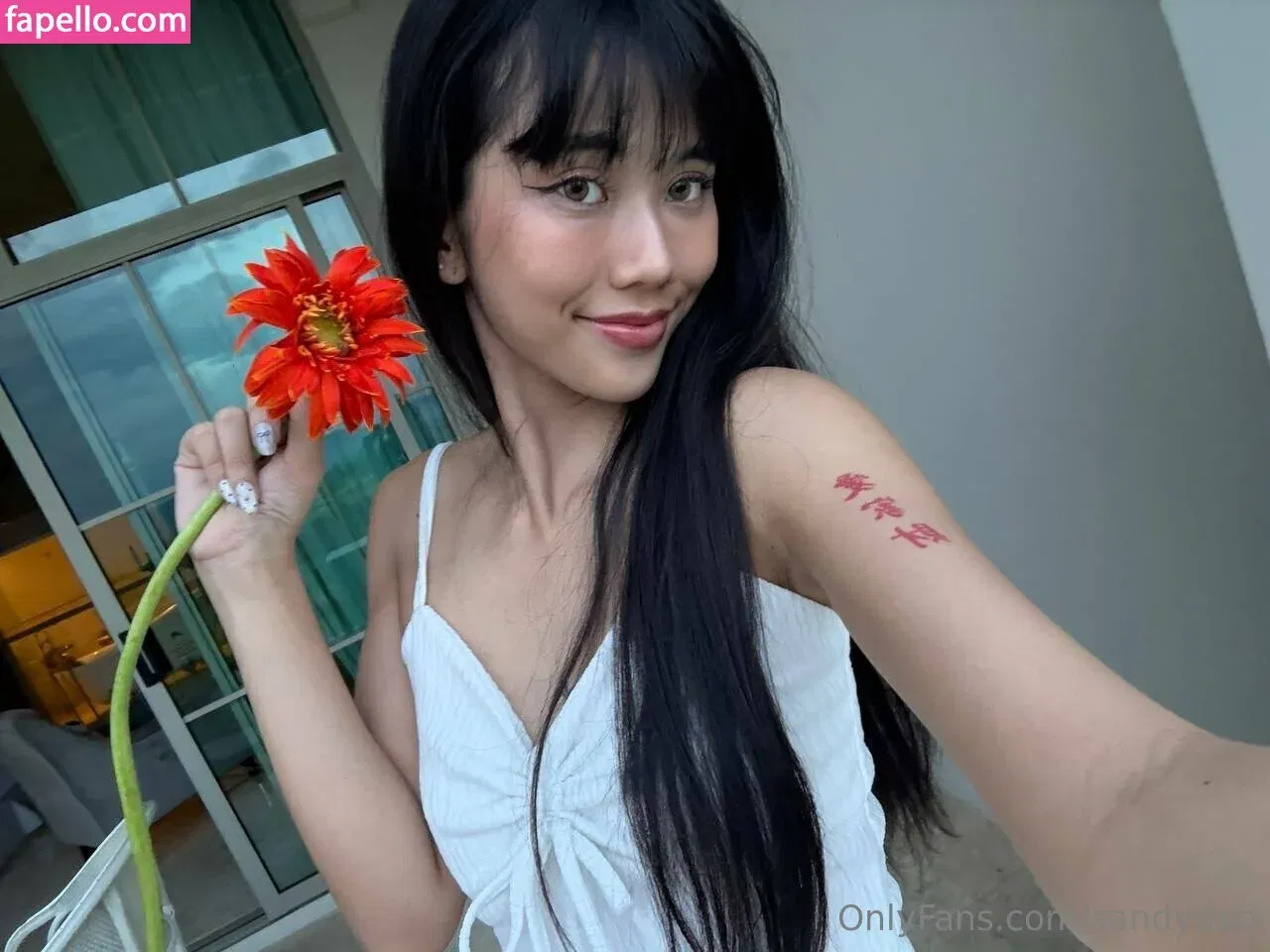 Sandydao Onlyfans Photo Gallery 