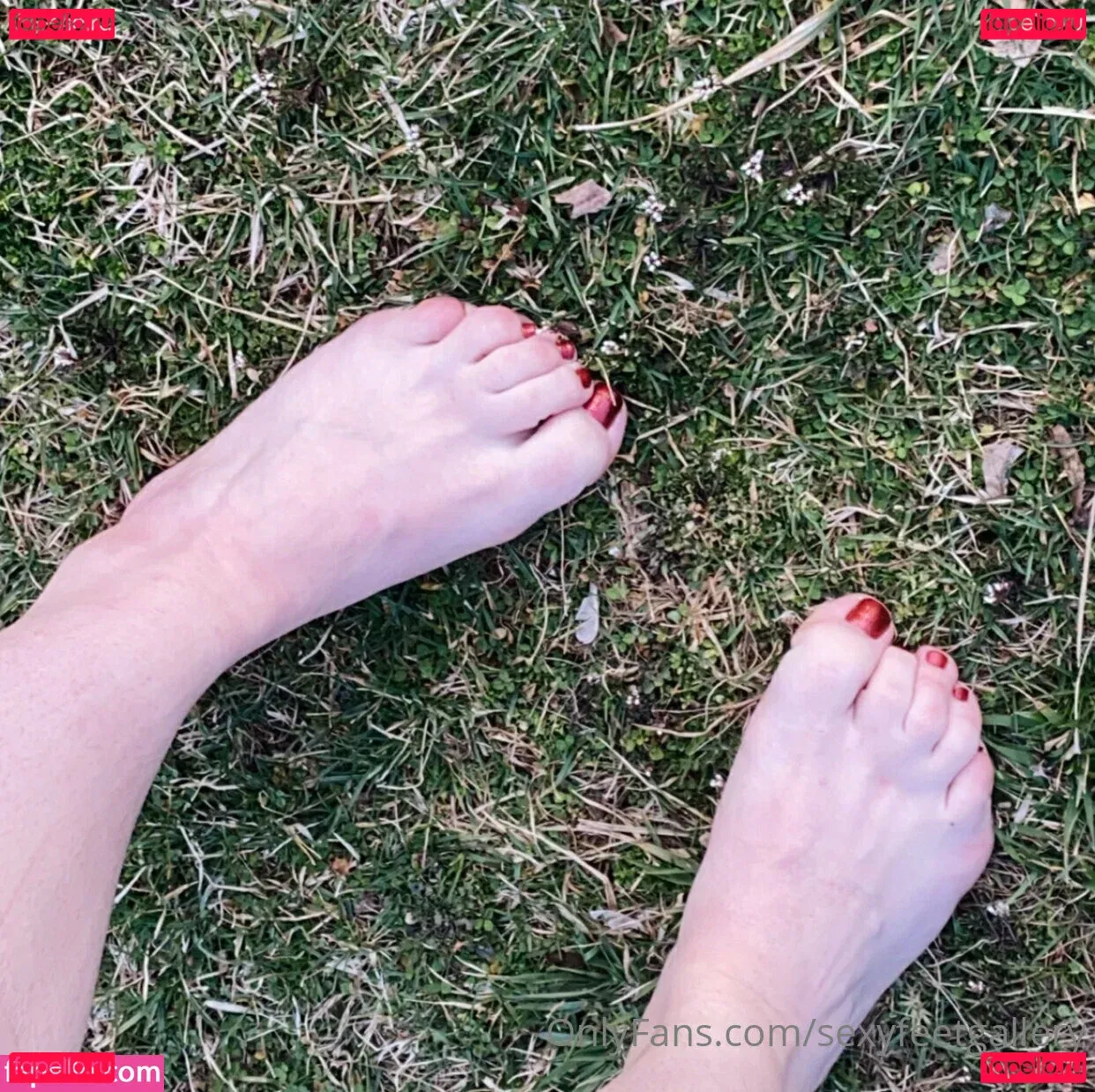 sexyfeetgallery Onlyfans Photo Gallery 