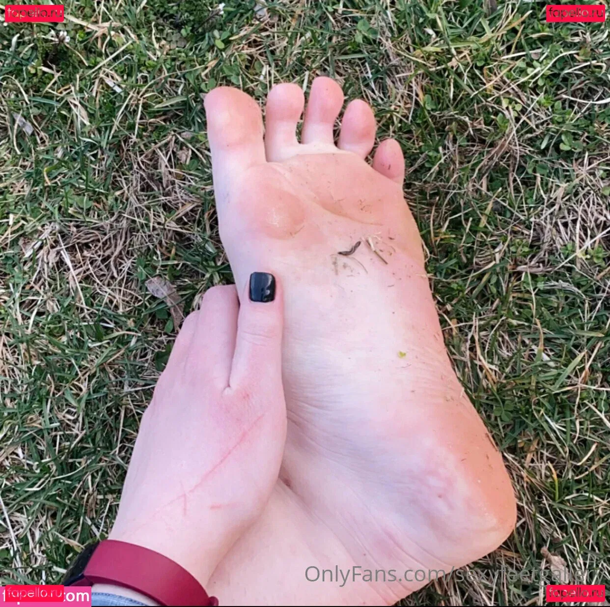 sexyfeetgallery Onlyfans Photo Gallery 