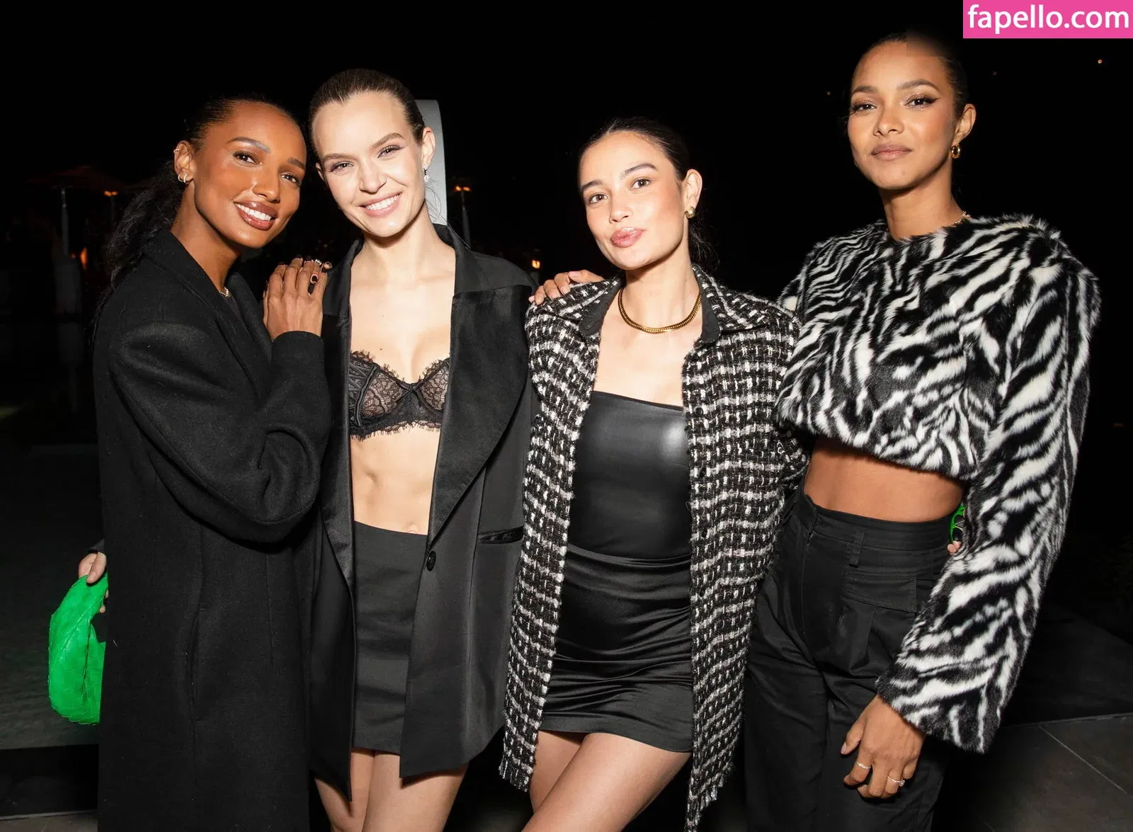 Josephine Skriver Onlyfans Photo Gallery 