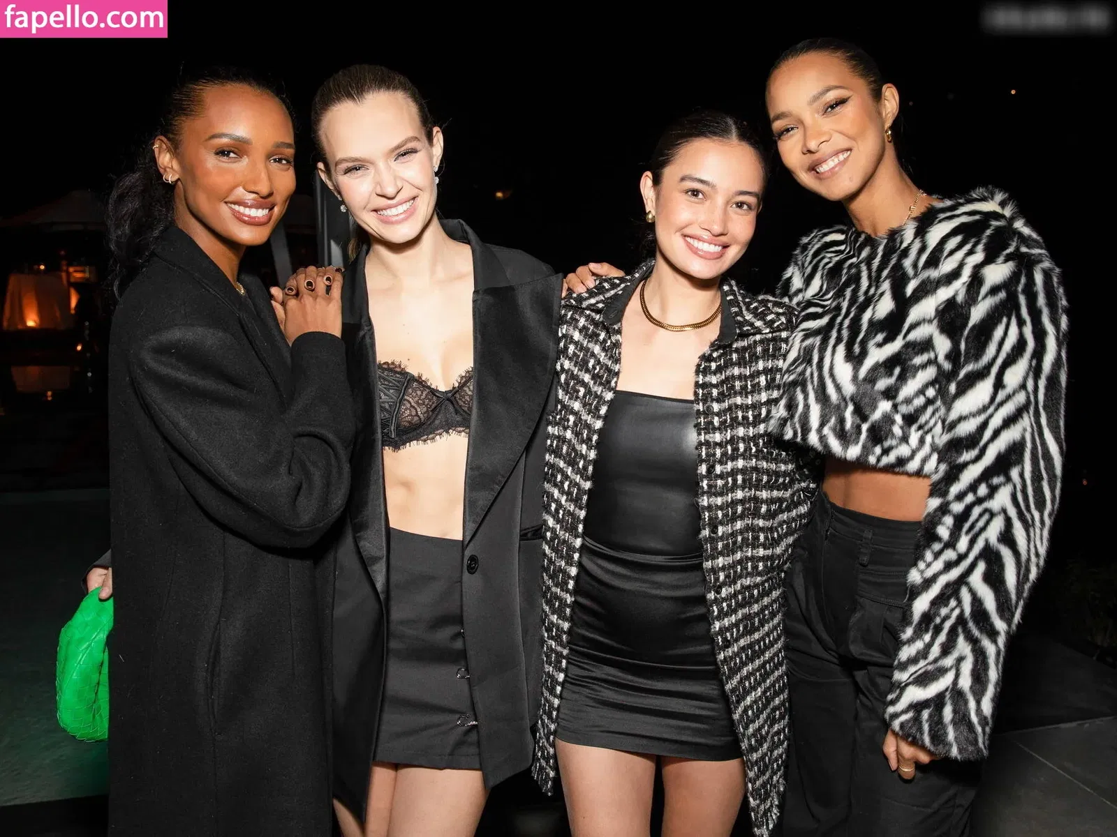 Josephine Skriver Onlyfans Photo Gallery 